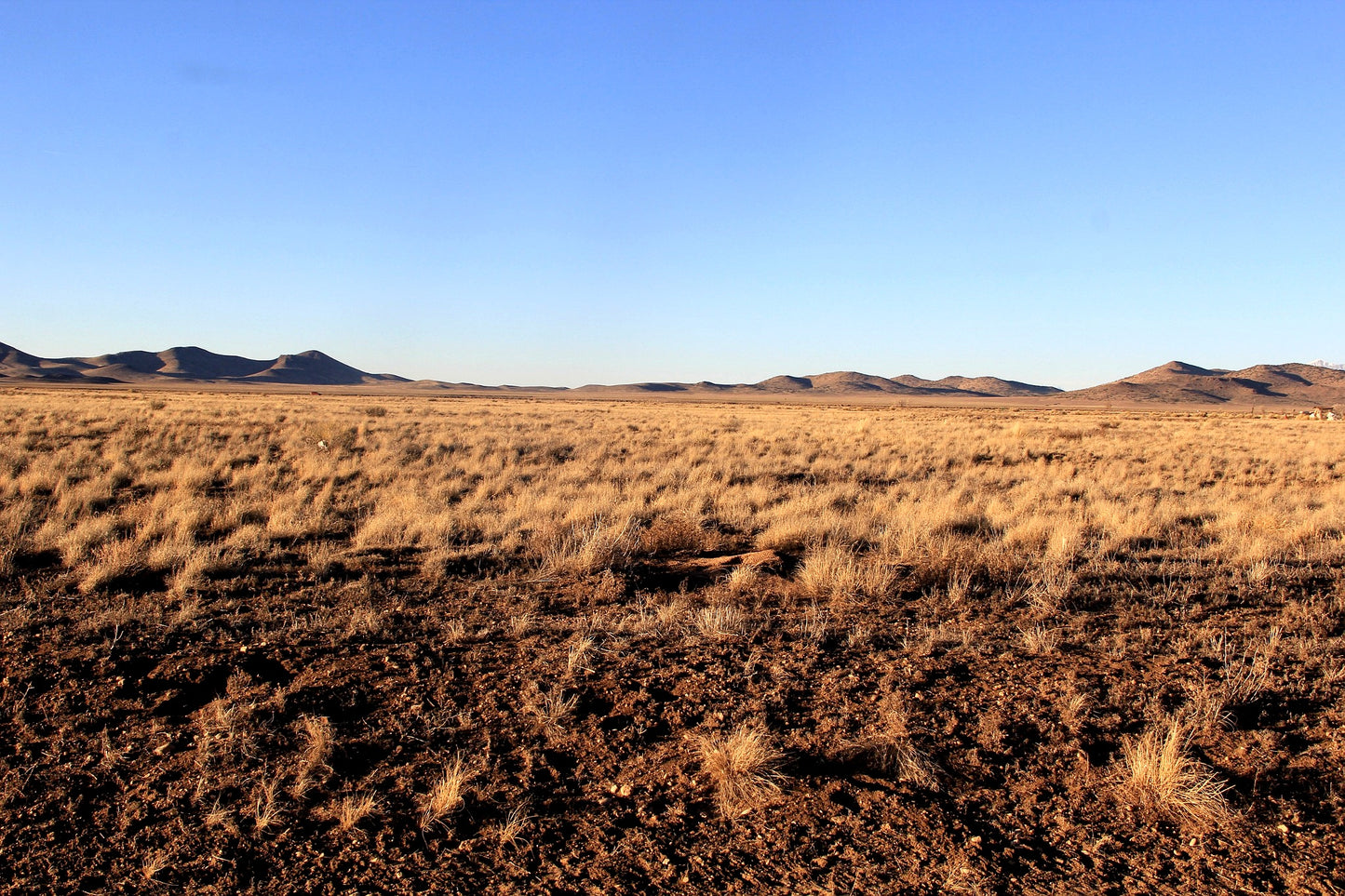 6.13 Acres in Southern CO - $195/mo