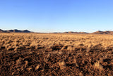 6.13 Acres in Southern CO - $195/mo
