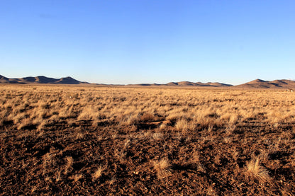 6.13 Acres in Southern CO - $195/mo