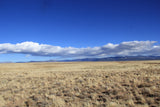 4.73 Acre Lot with Endless Potential! - $125/month