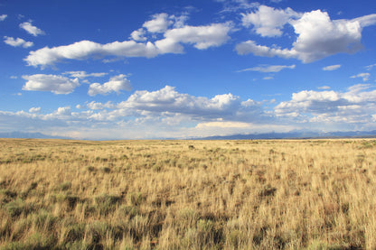 11.14 Acre Lot in Costilla County, CO with plenty of room to Camp, Build, or RV!