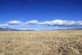4.73 Acre Lot with Endless Potential! - $125/month