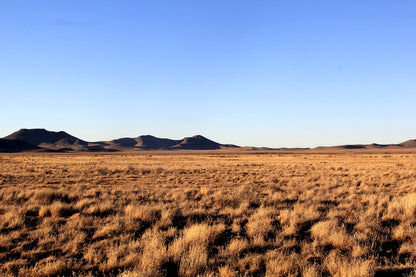 6.13 Acres in Southern CO - $195/mo