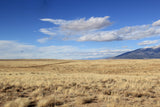 4.73 Acre Lot with Endless Potential! - $125/month