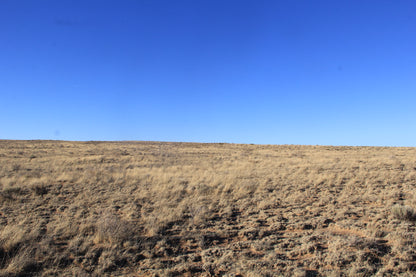 5.00 Acres with Breathtaking Views in Costilla County, CO!