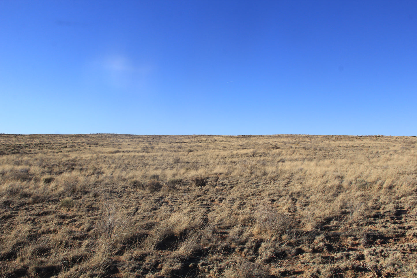 5.00 Acres with Breathtaking Views in Costilla County, CO!