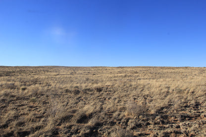 5.00 Acres with Breathtaking Views in Costilla County, CO!