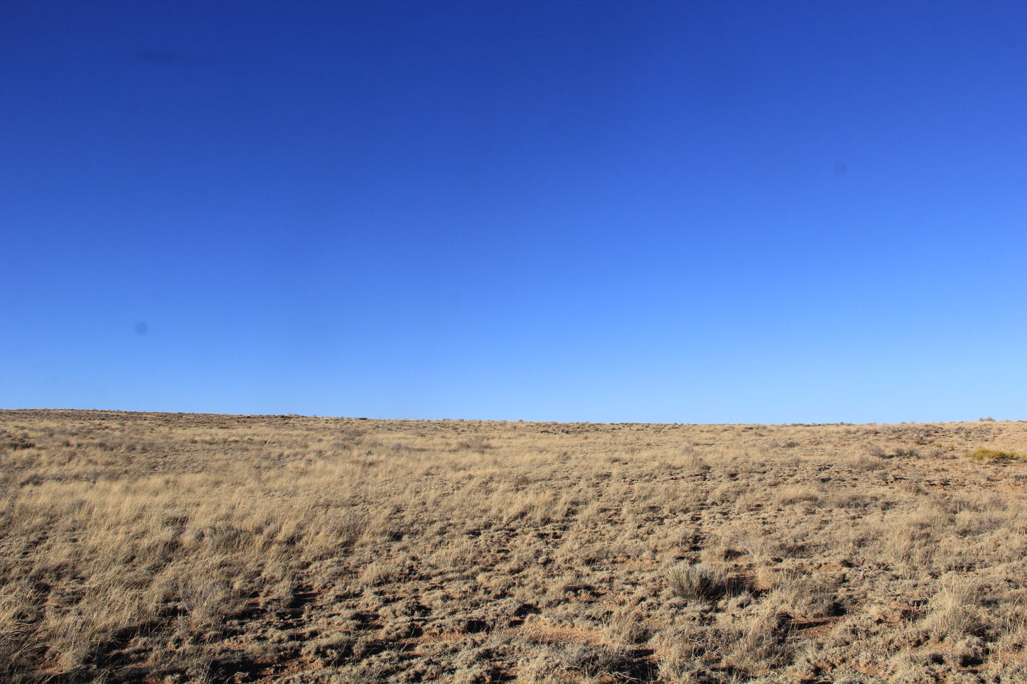 5.00 Acres with Breathtaking Views in Costilla County, CO!