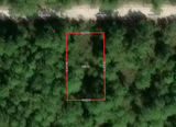 Minutes to Lake George! 0.23 Acre Lot in Putnam County, FL
