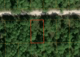 Minutes to Lake George! 0.23 Acre Lot in Putnam County, FL