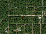 Minutes to Lake George! 0.23 Acre Lot in Putnam County, FL