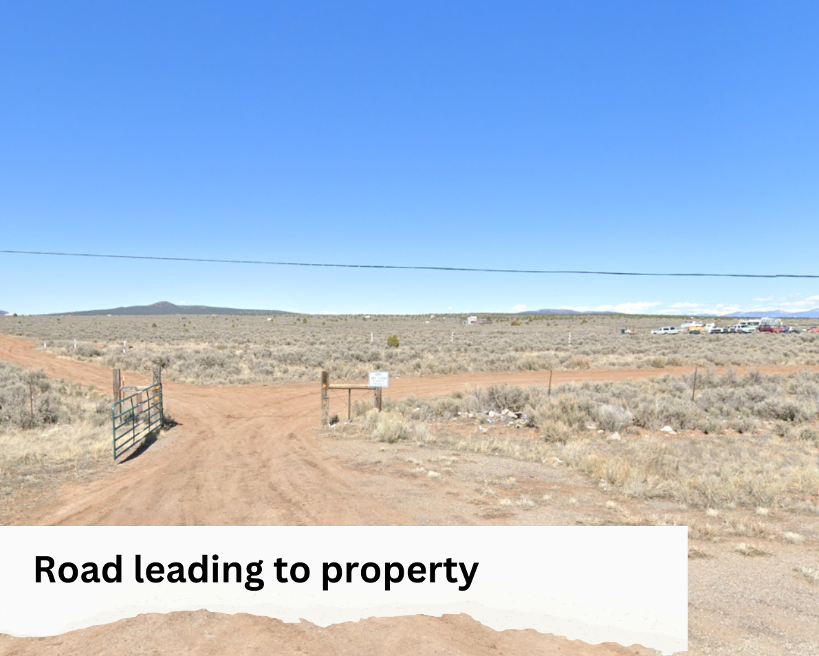 0.25 Acre Lot in Taos County, NM with No Zoning! - $75/month