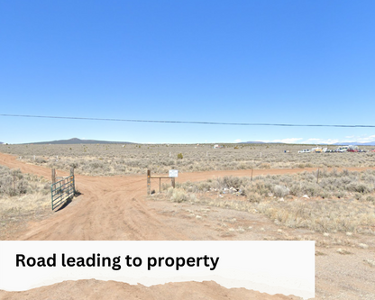 0.25 Acre Lot in Taos County, NM with No Zoning! - $75/month