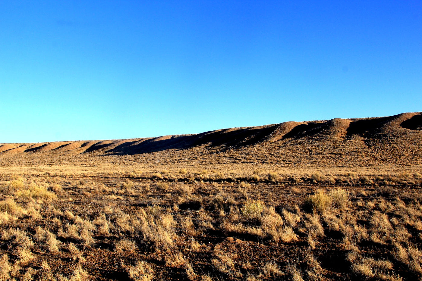 6.13 Acres in Southern CO - $195/mo