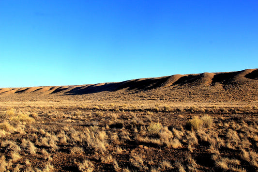 6.13 Acres in Southern CO - $195/mo