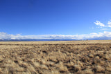 4.73 Acre Lot with Endless Potential! - $125/month