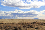 4.73 Acre Lot with Endless Potential! - $125/month