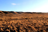 6.13 Acres in Southern CO - $195/mo
