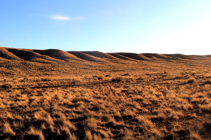 6.13 Acres in Southern CO - $195/mo