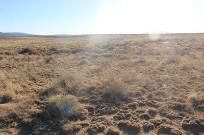 5.00 Acres with Breathtaking Views in Costilla County, CO!