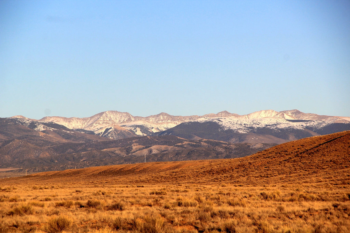 6.13 Acres in Southern CO - $195/mo