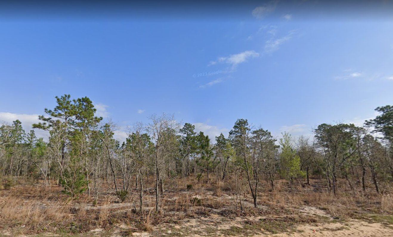0.31 Acres in Putnam County - $215/month