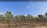 0.31 Acres in Putnam County - $215/month