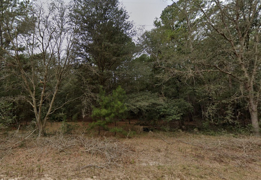 0.22 Acre Lot in Putnam County, FL with Power Close By! - $199/mo