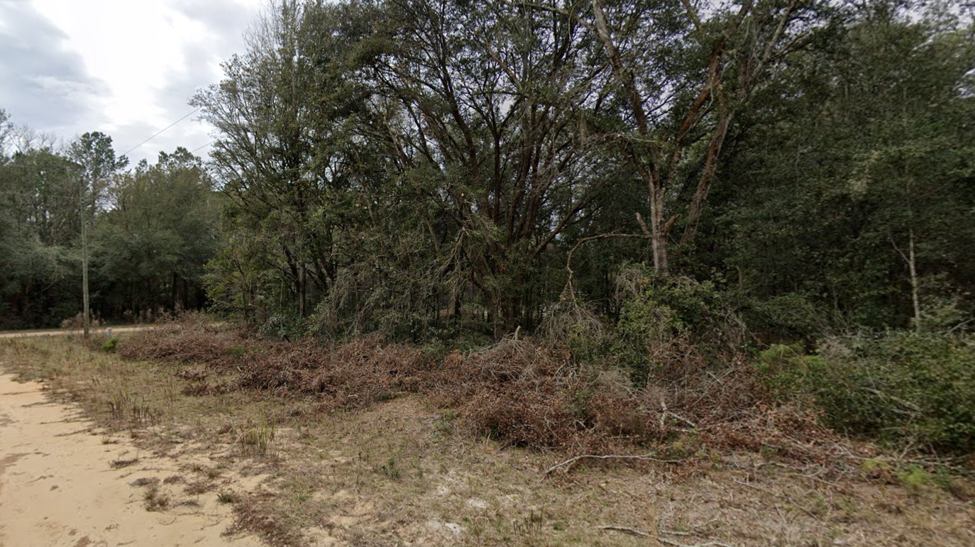 0.22 Acre Lot in Putnam County, FL with Power Close By! - $199/mo