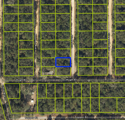 0.22 Acre Lot in Putnam County, FL with Power Close By! - $199/mo