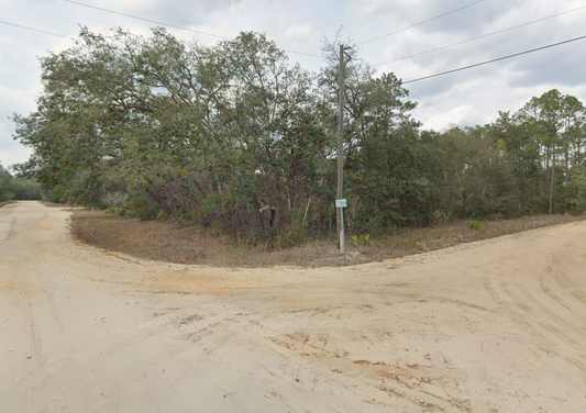 0.22 Acre Corner Lot with Power in Putnam County, Florida