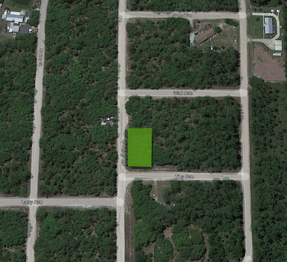 0.22 Acre Corner Lot with Power in Putnam County, Florida