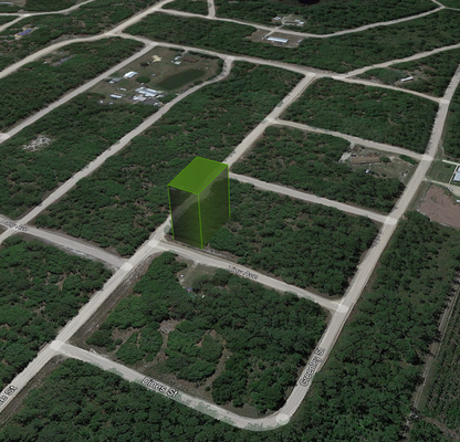 0.22 Acre Corner Lot with Power in Putnam County, Florida