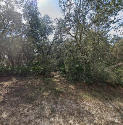 0.22 Acre Lot on Pamela St in Putnam County, FL