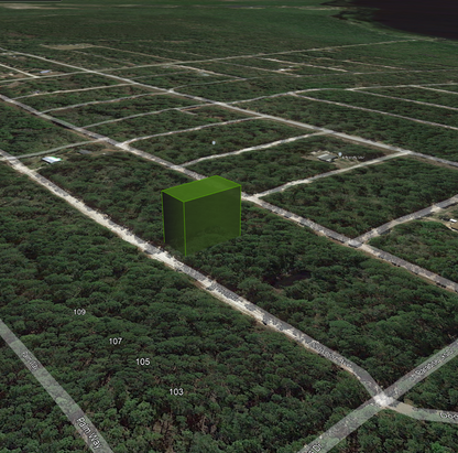 Minutes to Lake George! 0.23 Acre Lot in Putnam County, FL