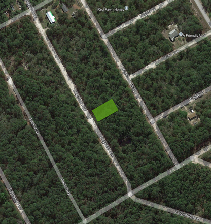 Minutes to Lake George! 0.23 Acre Lot in Putnam County, FL