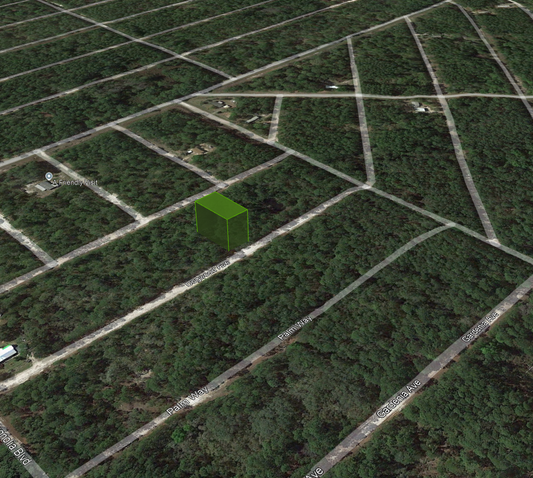 Minutes to Lake George! 0.23 Acre Lot in Putnam County, FL