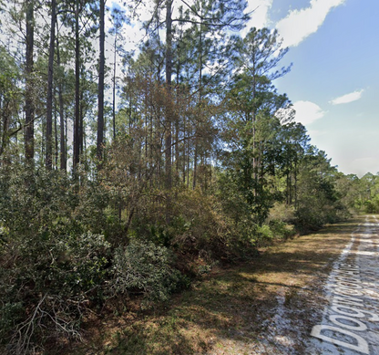 Minutes to Lake George! 0.23 Acre Lot in Putnam County, FL